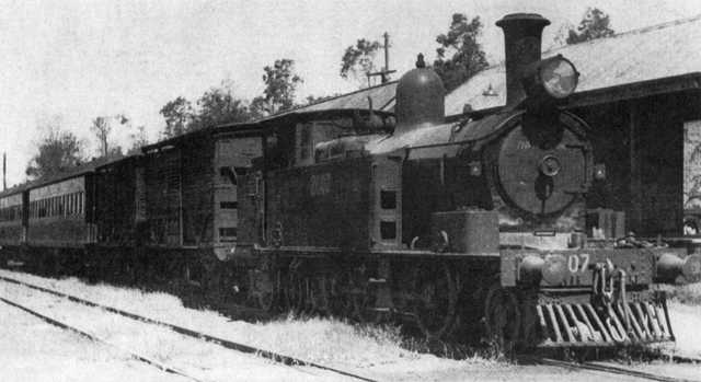 Pansy at Kurrajong Station
